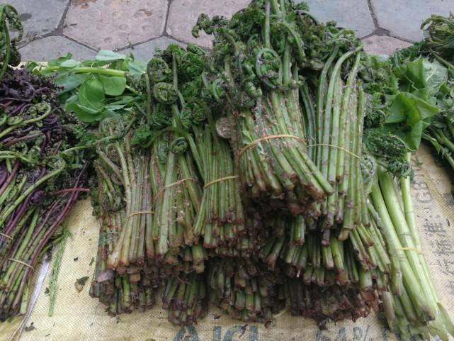 吉林绿色转型,开启发展新篇章