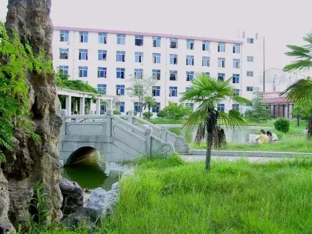 荆楚变革，湖北展现坚韧活力新篇章