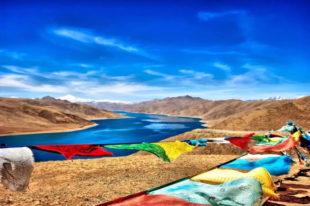 西藏小巷深处的宝藏，探秘特色小店